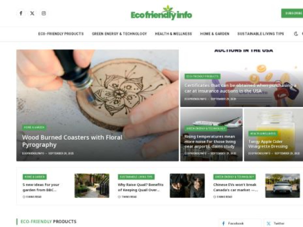 ecofriendlyinfo.com