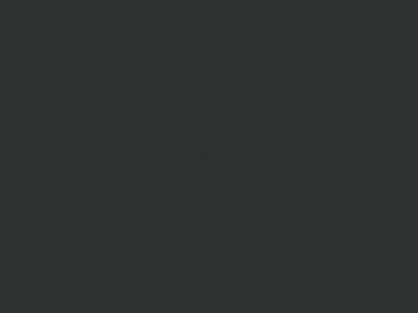 n-pro.com