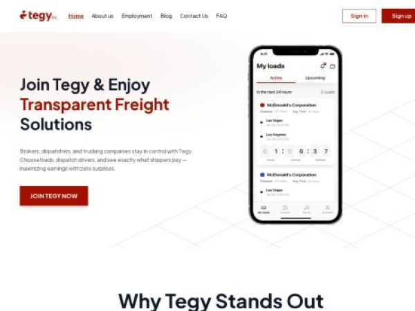 tegyinc.com